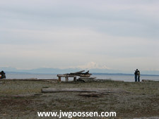 Beach original photograph from JW Goossen's Random Photography Series