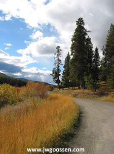 Fall Road at JW Goossen's Lac Le Jeune cabin original photograph